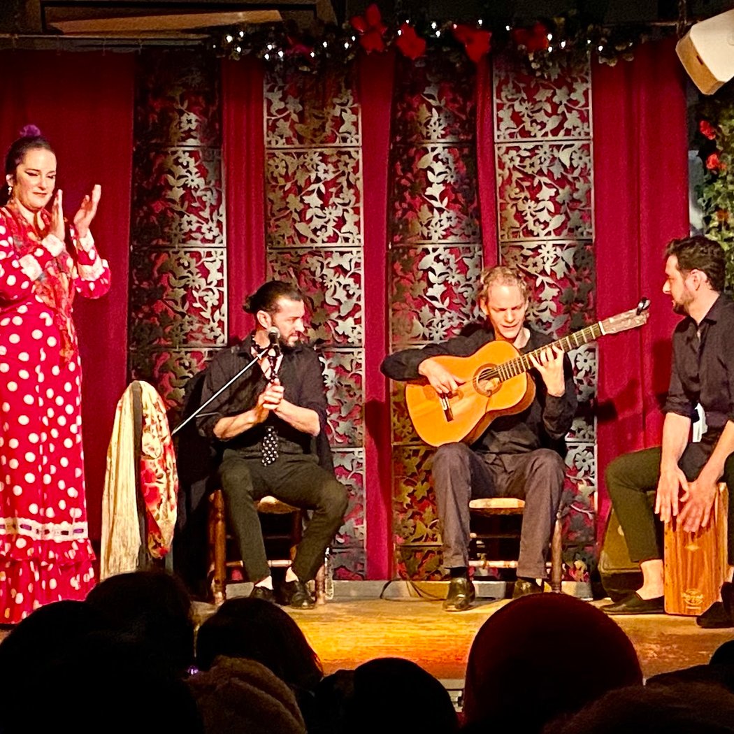 Espectáculo Flamenco 2